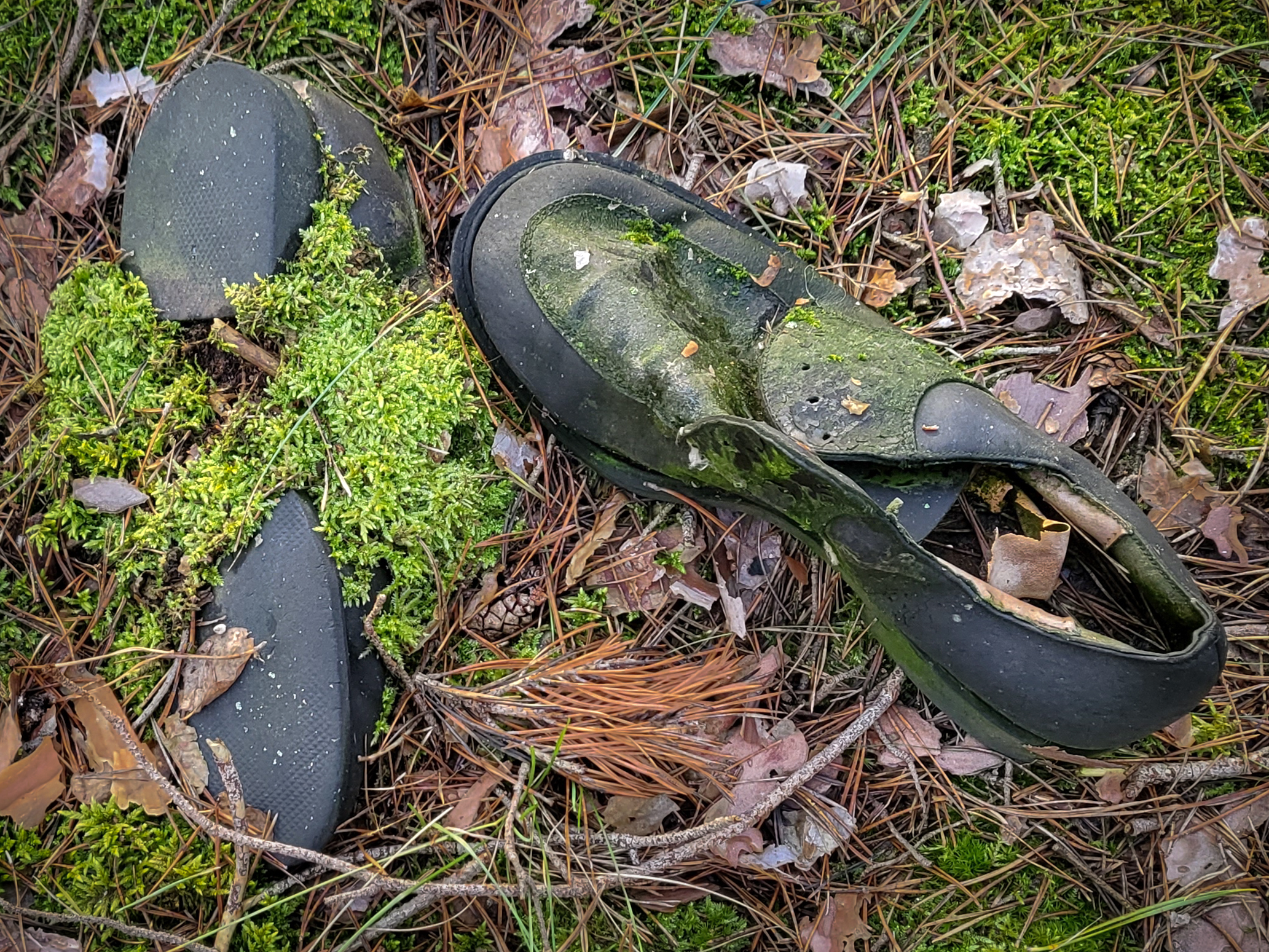 Stumme Zeugen der Geschichte