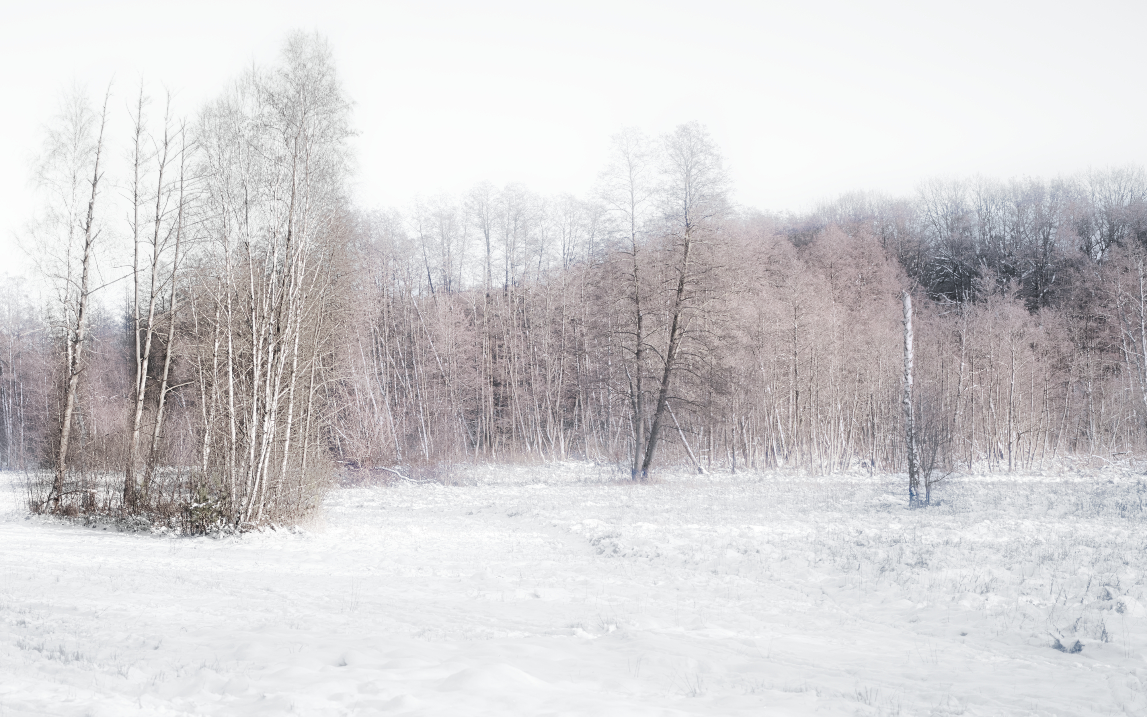 Winterlandschaft