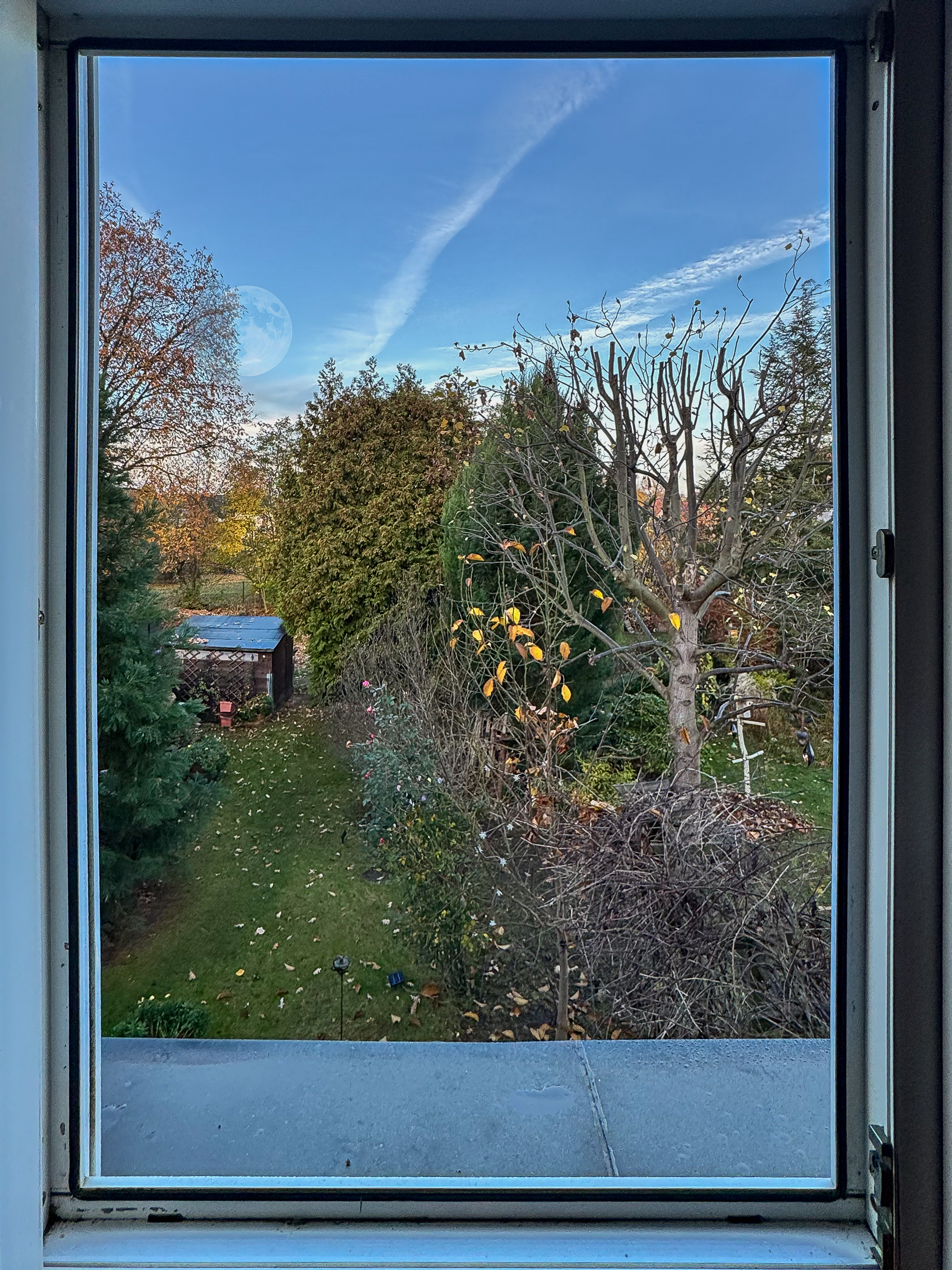 Morgendlicher Blick aus dem Fenster